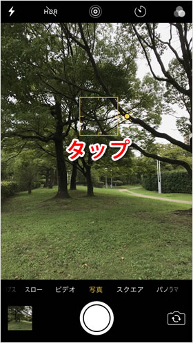 露出