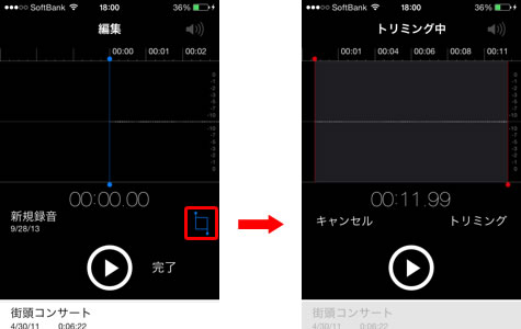 トリミング2