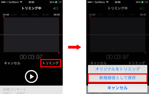 トリミング4