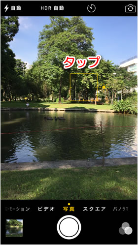 露出