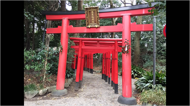 向き