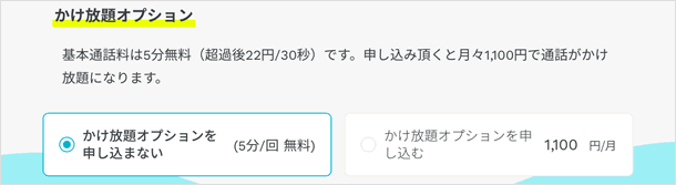 かけ放題オプション