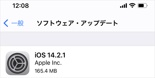 iOS 14.2.1