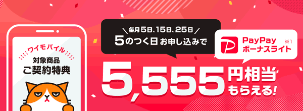 5のつく日キャンペーン