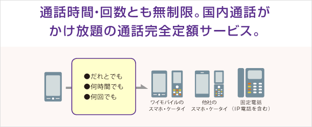 スーパーだれとでも定額